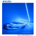 O mais popular DC12 / 24V SMD LED Strip Light com Ce RoHS